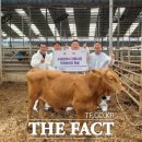 경기수정란이식센터 이미지