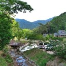 순천자연휴양림 이미지