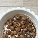 디플로라 이미지