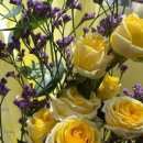 사동그린꽃 이미지