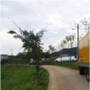 더종합학원 이미지