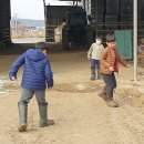 음매목장 이미지