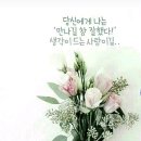 꽃피는하루 이미지