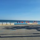 화진포 관광안내소 이미지