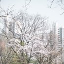 민죠이짐 이미지