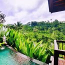 더정글 | 발리 숙소 추천 우붓 더 카욘 정글 리조트 후기 ♥