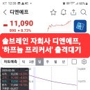 디엔에프 이미지