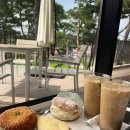 카페캐롯 이미지