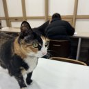 영어회화 첫걸음 이미지