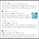 수영샴푸 핵심을 놓치지 마세요