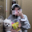넌 이미지