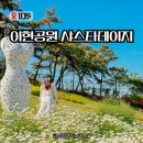서구청소년수련관 햇살마당 | 대구 5월 가볼만한 곳 이현공원 샤스타데이지 명소 이팝나무 위치 주차 사진팁