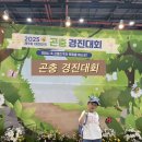 제9회 대한민국 곤충경진대회 곤충애호가 곤충러버들은 학여울역 SETEC으로 모여라!