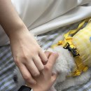 멕시카나치킨화정점 이미지