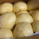 버스정류장 07-203 이미지