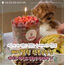 산본천로99 | 군포수제케이크 산본 금정 주문제작 케이크! 제이델링 초코딸기폭탄 맛·비주얼 후기