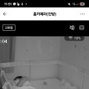 리투스