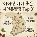 탑(TOP)킥보드 | [공지] 아이랑 가기 좋은 자연휴양림 TOP3 (서울 경기 충청 총정리)