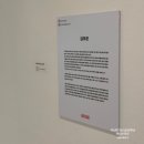 상상그린 G.HOUSE | 부산 서면 KT&amp;G 상상마당 전시 아티스타트 : 신인 예술가들의 신작 무료 관람 후기