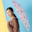 더블유피시(WPC) 이미지