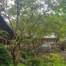 관어공원(호국사) 이미지