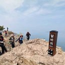 바다휴 이미지