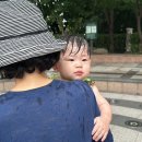 상징가로공원 네이버블로그