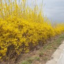 구산배수펌프장 이미지