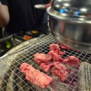 동적깡통구이노원 | 노원역 고기집 추천! 동적 깡통구이 노원직영점 갈비살 맛집 후기