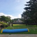 퍼피월드제주 이미지