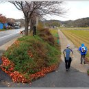 터미널카센터 이미지