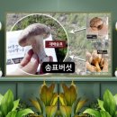 우성농업회사법인 이미지