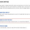 세화세무회계 이미지