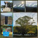 쌍용가마솥해장국 이미지