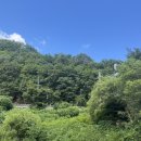 용추폭포가든민박 | [김천 무흘구곡]용추민박 계곡 평상대여 내돈내산 후기