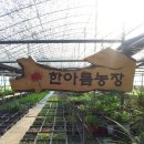 한아름농장 이미지