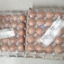 제암농장 이미지