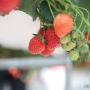 영상테마파크 이미지