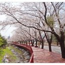 삼회리 강변 자전거길 네이버블로그