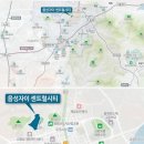 금왕초 이미지