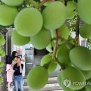 중흥2동행정복지센터 이미지