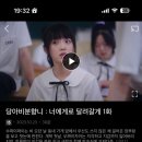 홍홍 이미지