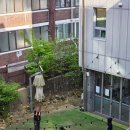 청소년문화의집-댄스연습실2 | 포천 청소년 놀거리 추천! 노래방부터 닌텐도까지 무료로 즐기는 포천청소년문화의집