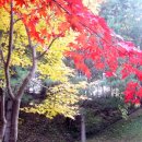 국사모 두번째 공연 수고많으셨습니다.......*^^* 이미지