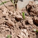 해뜬농장 이미지