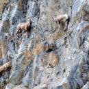 용죽초등학교 이미지