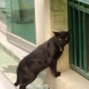 안산천서로 이미지