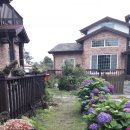 제주편백휴낭 이미지