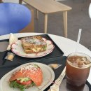 [송파 방이동 -카페] 올림픽공원 근처 애견 동반 가능한 브런치 카페 무이메종 추천 후기