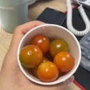 (주)가스코 유정에너지 | 작은 것들에 큰 의미 두기.